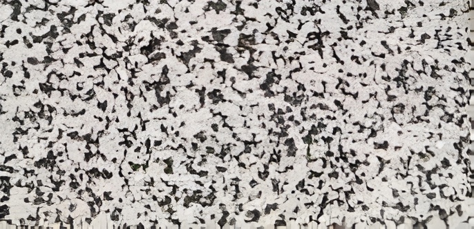 rd-20